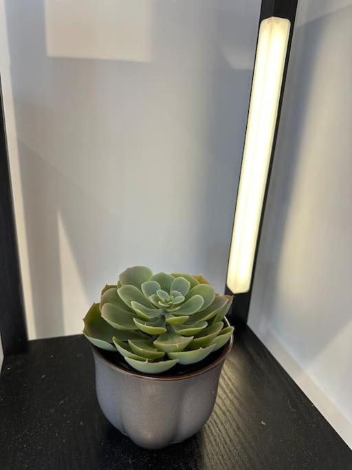 Whitsun Studio - Brand New Listing! Bristol Zewnętrze zdjęcie